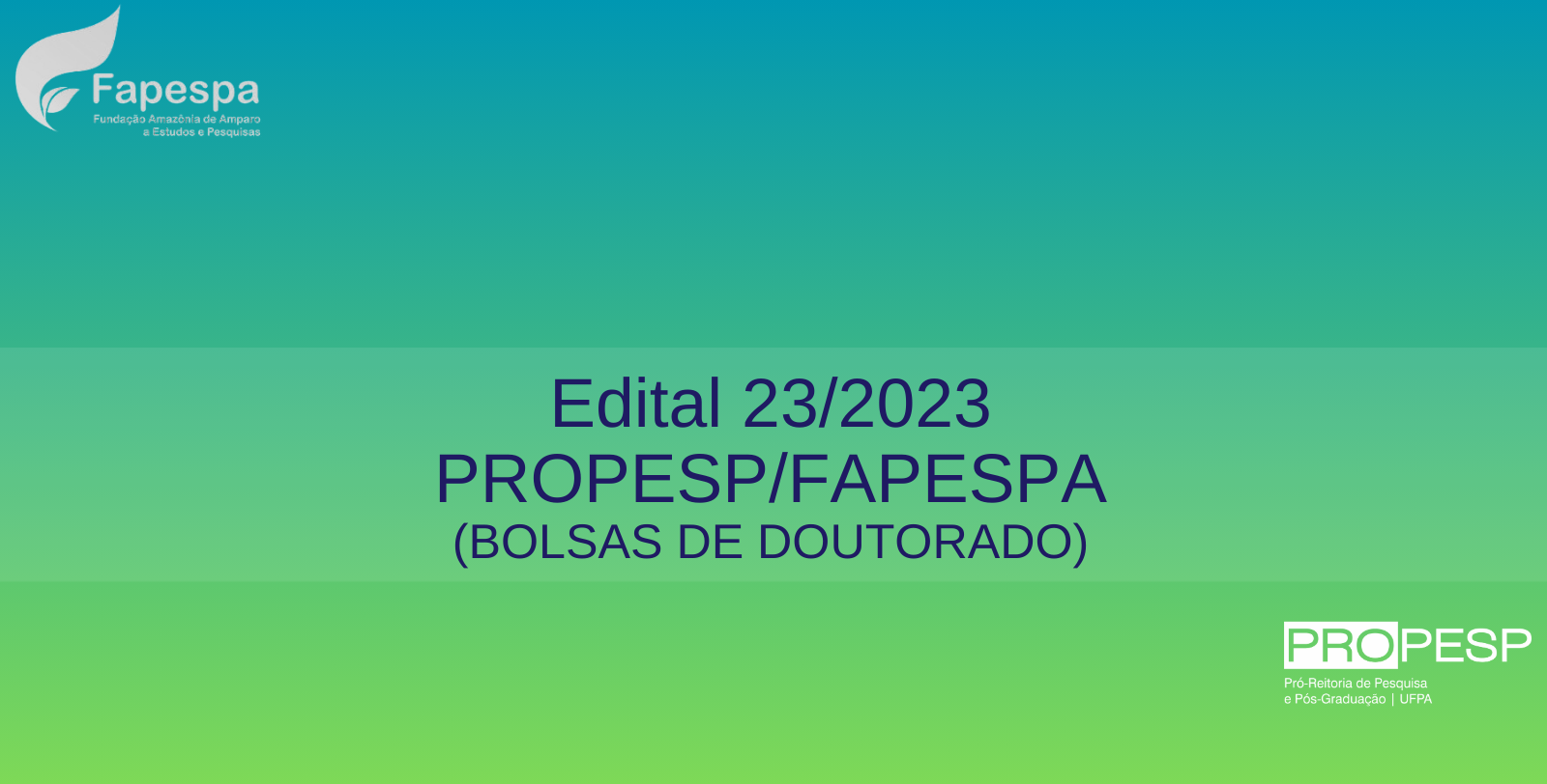 Edital 23/2023 - PROPESP/FAPESPA (Bolsas de Doutorado) - Resultado Final da 2ª Fase